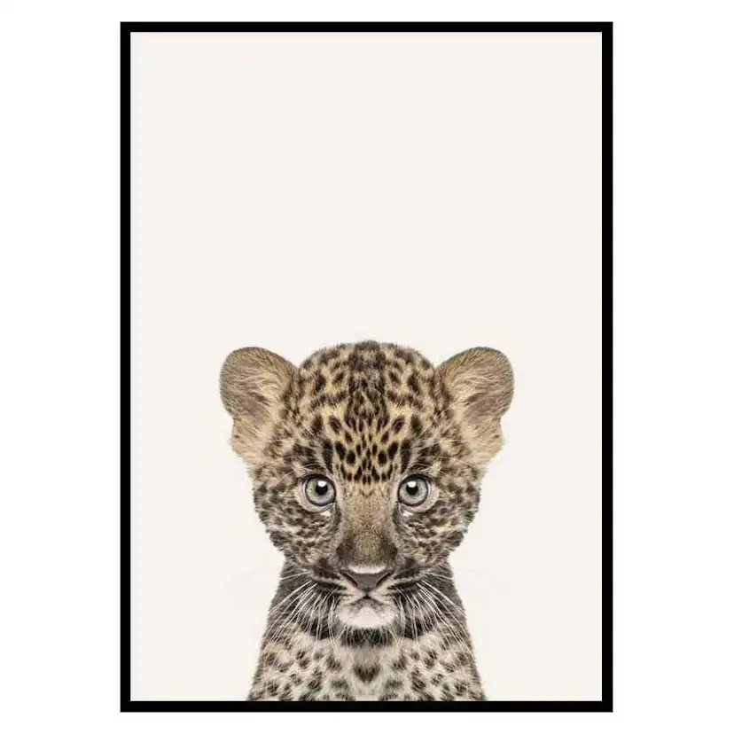 Poster Gallerix Baby Leopard