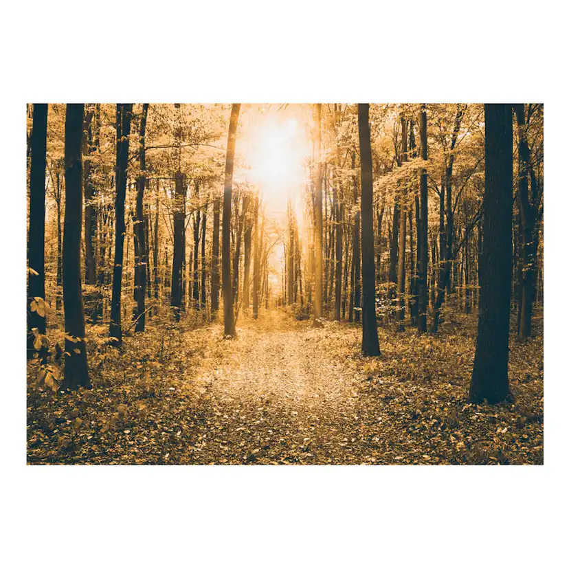 Fototapet Arkiio Självhäftande Magical Light