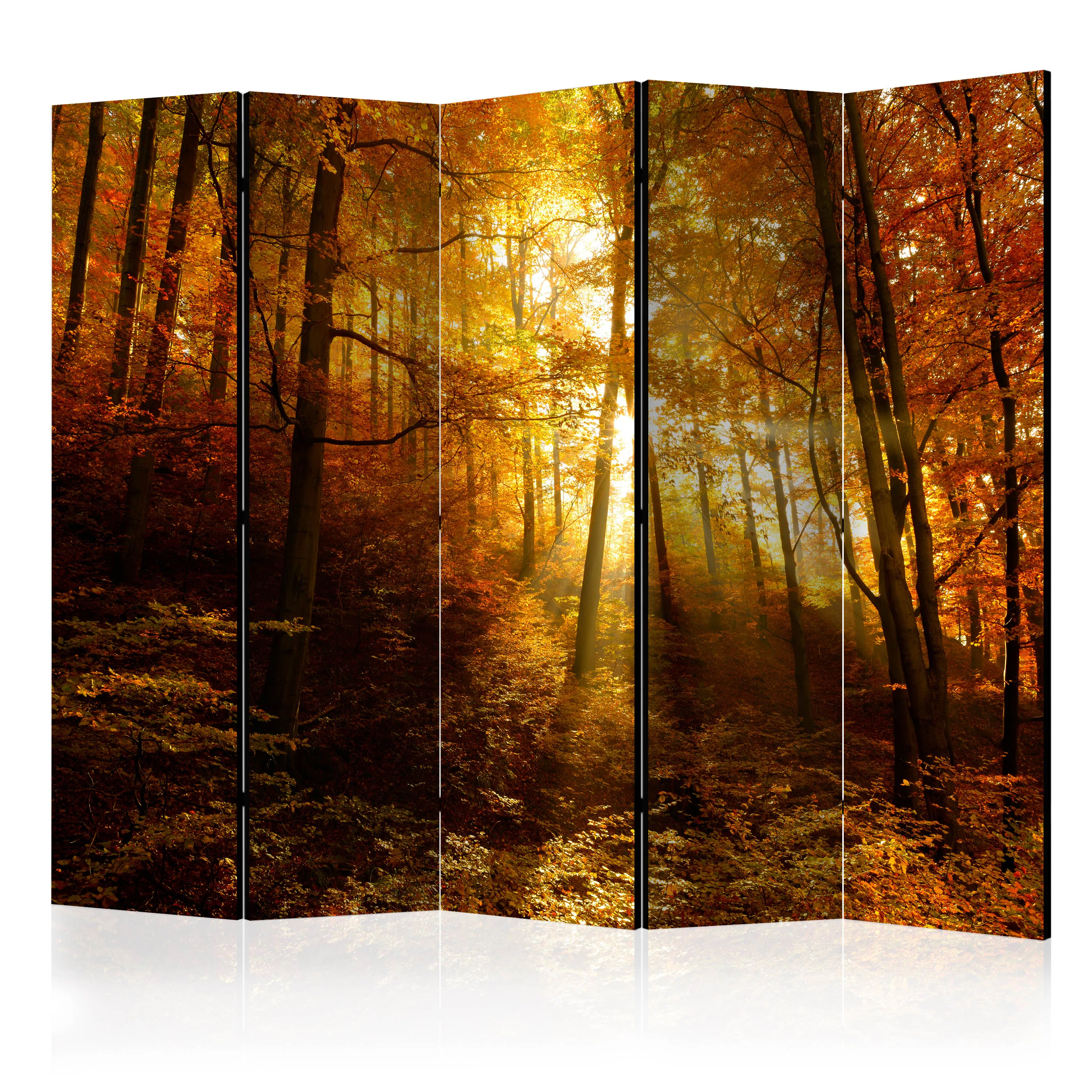 Rumsavdelare Skärmvägg Arkiio Autumn Illumination II 225x172 cm