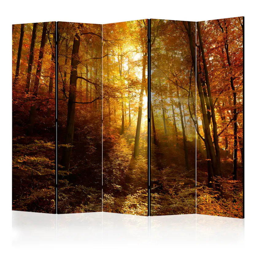 Rumsavdelare Skärmvägg Arkiio Autumn Illumination II 225x172 cm