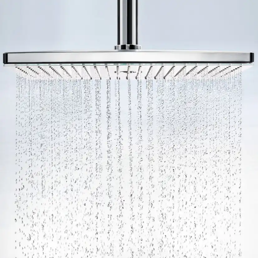 HG Rainmaker Sel.460 2jet huvuddusch Utan EcoSmart