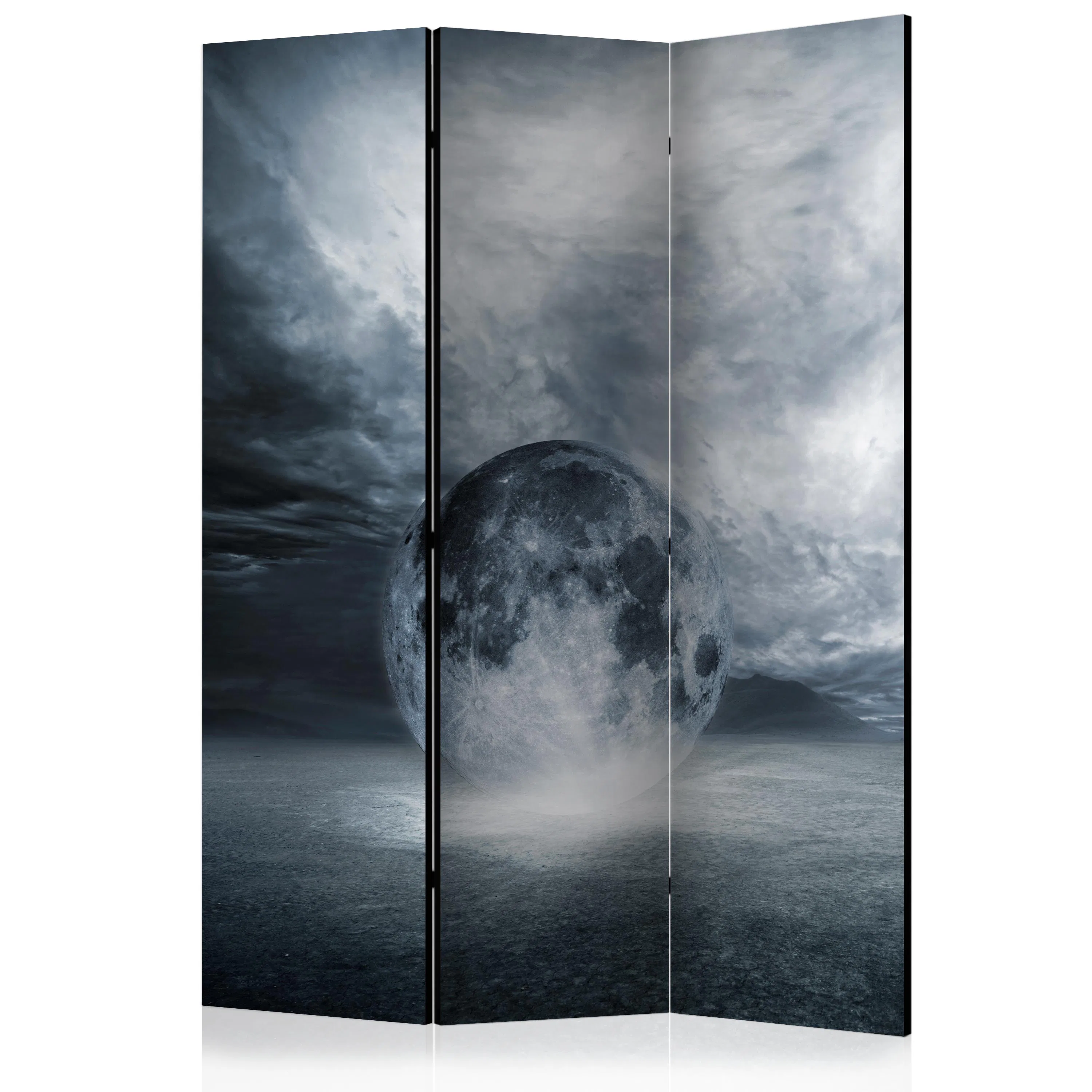 Rumsavdelare Skärmvägg Arkiio The Lost Planet 135x172 cm
