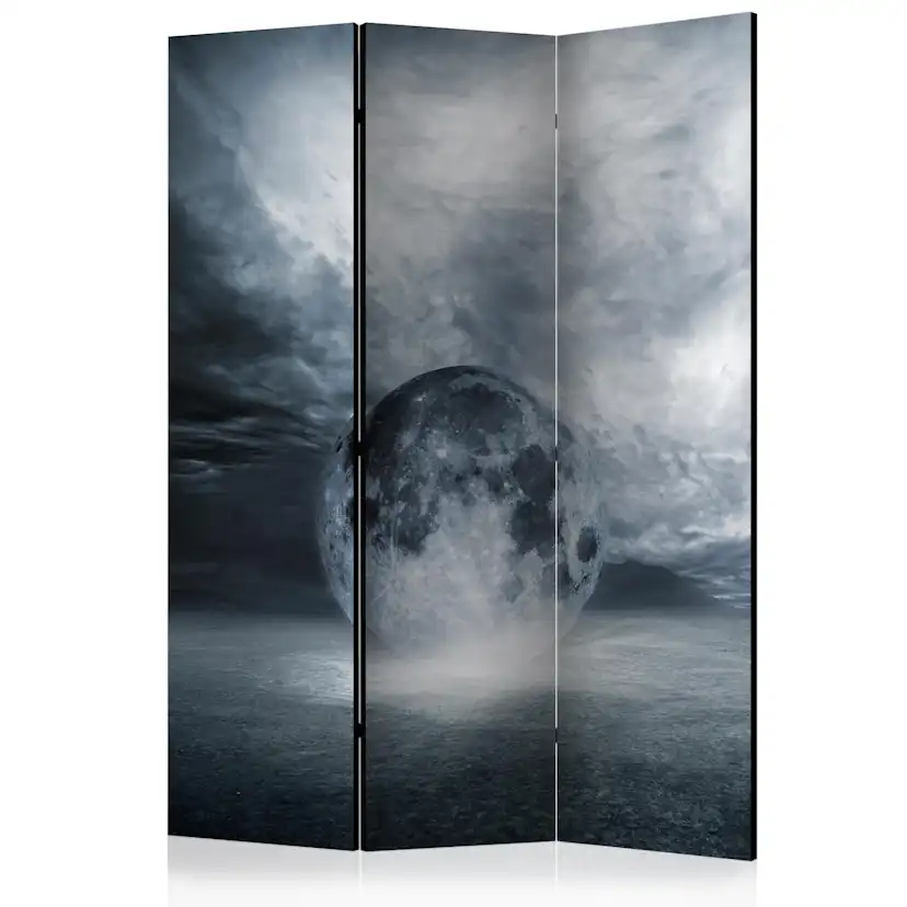 Rumsavdelare Skärmvägg Arkiio The Lost Planet 135x172 cm