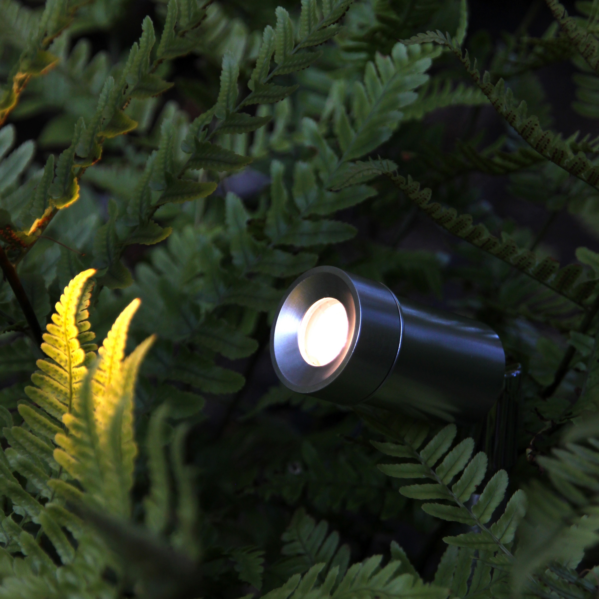Markspot Lightson Optica