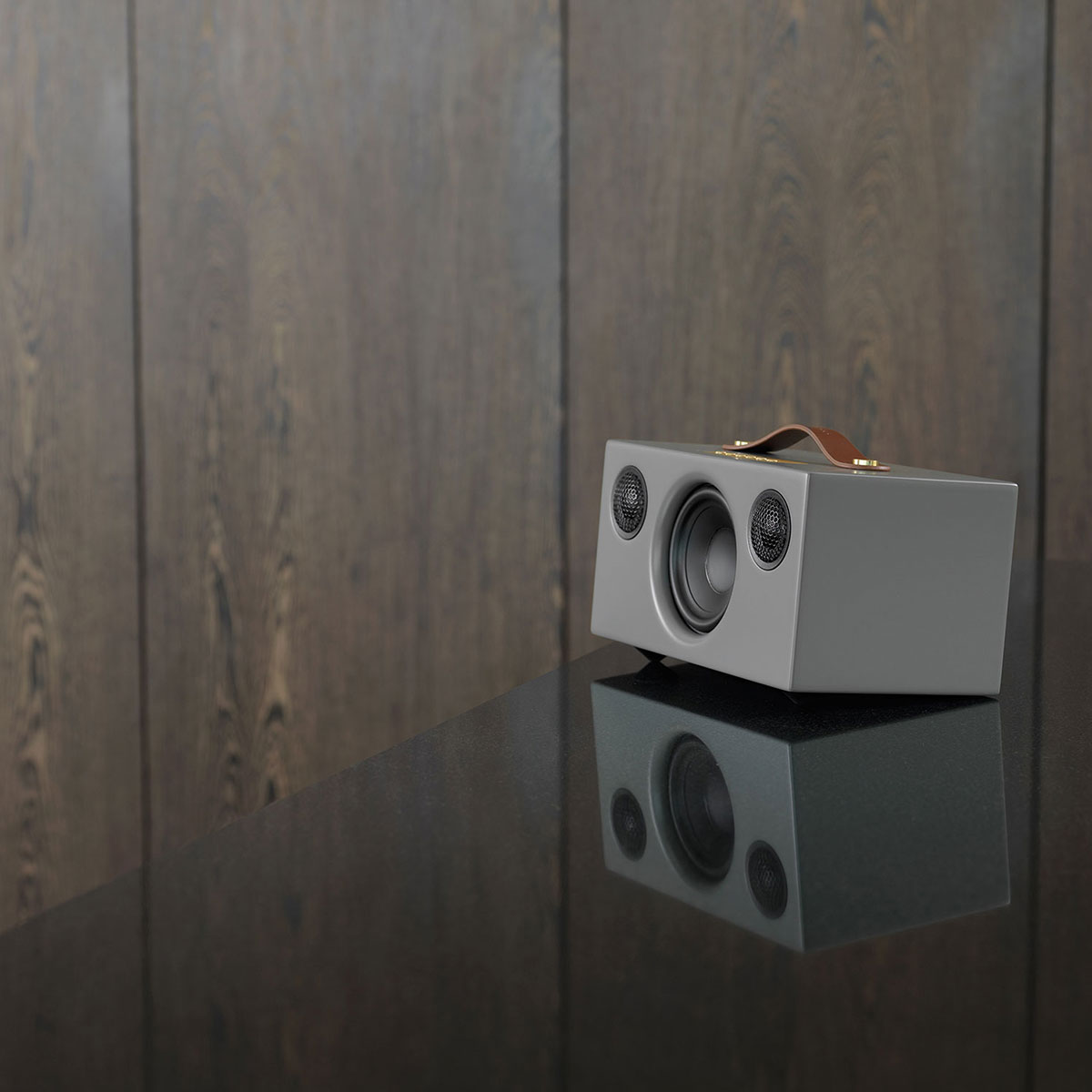 Högtalare Audio Pro C5 MK II