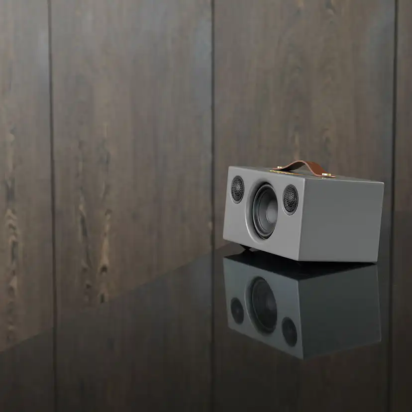 Högtalare Audio Pro C5 MK II