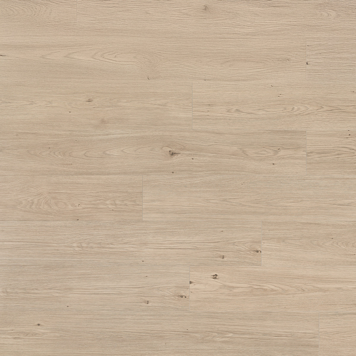 Laminatgolv Tenfors Oak Camel 8 mm, 1-stav