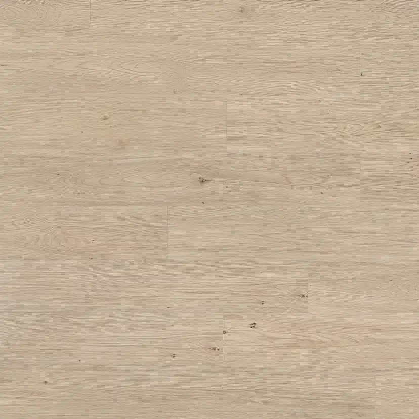 Laminatgolv Oak Camel 8 mm, 1-stav