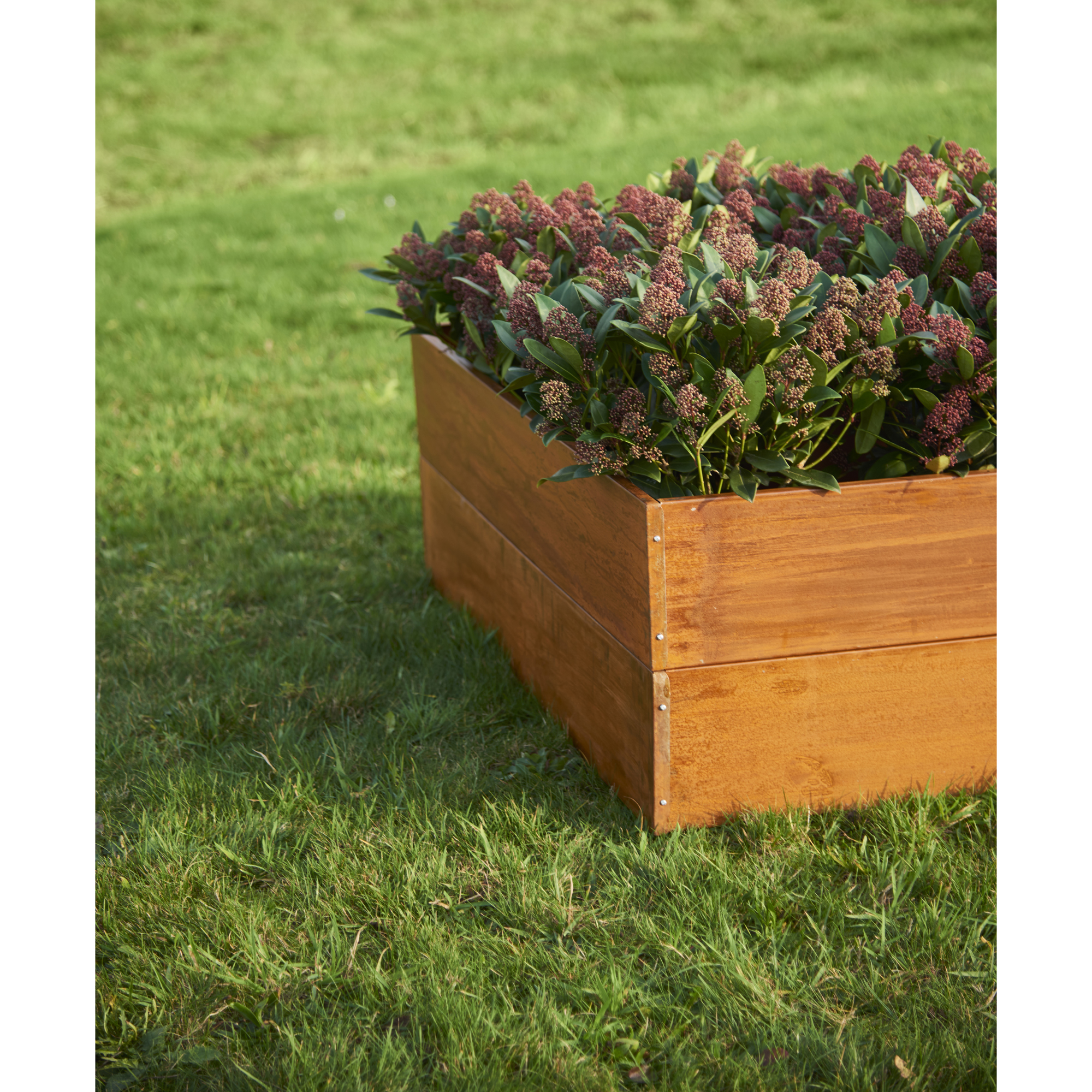 Odlingskrage Grouw Rostig 120X80X19 cm