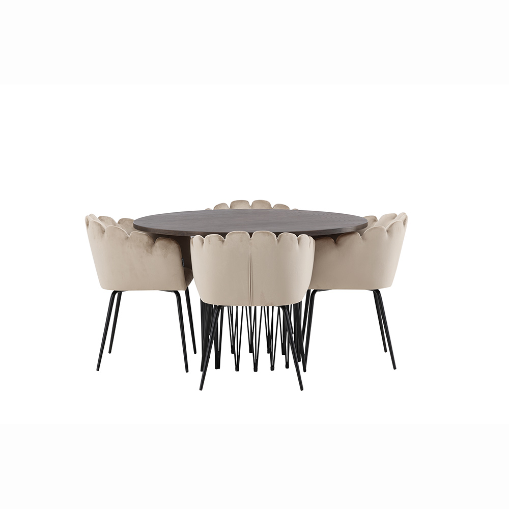 Matgrupp furniture/fashion Stone med 4 Limhamn Stolar Runt