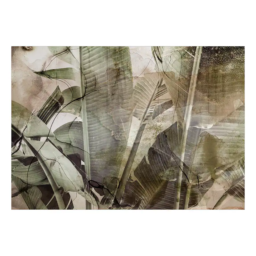 Fototapet Arkiio Banana Jungle