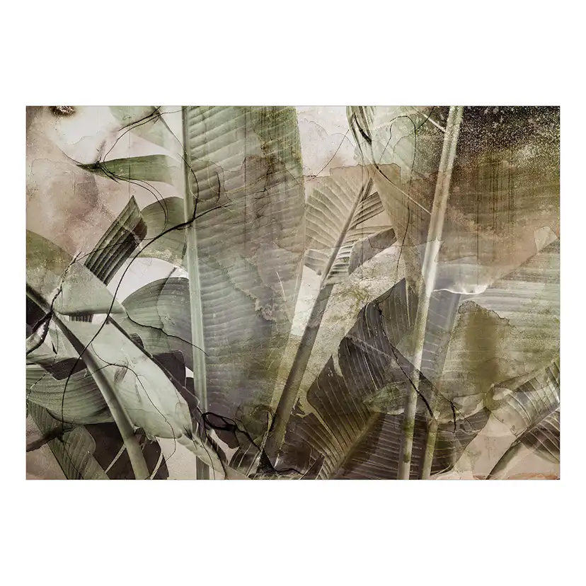 Fototapet Arkiio Banana Jungle