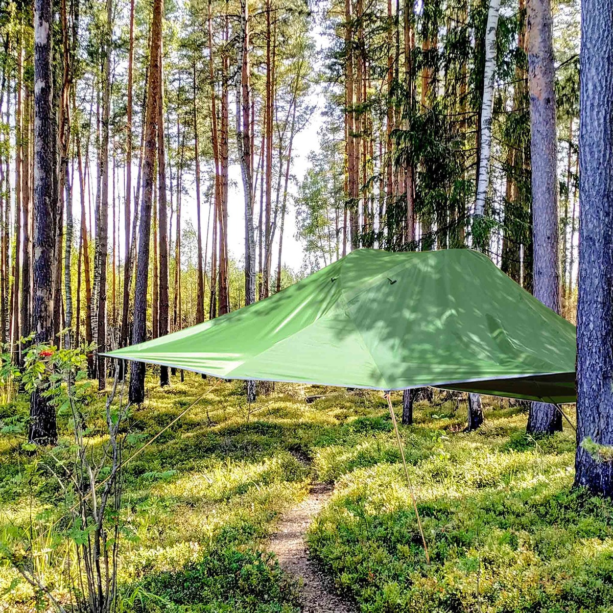 Tält Trekker Hängande