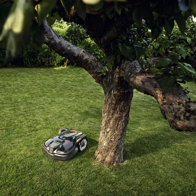 Robotgräsklippare Husqvarna Automower 305
