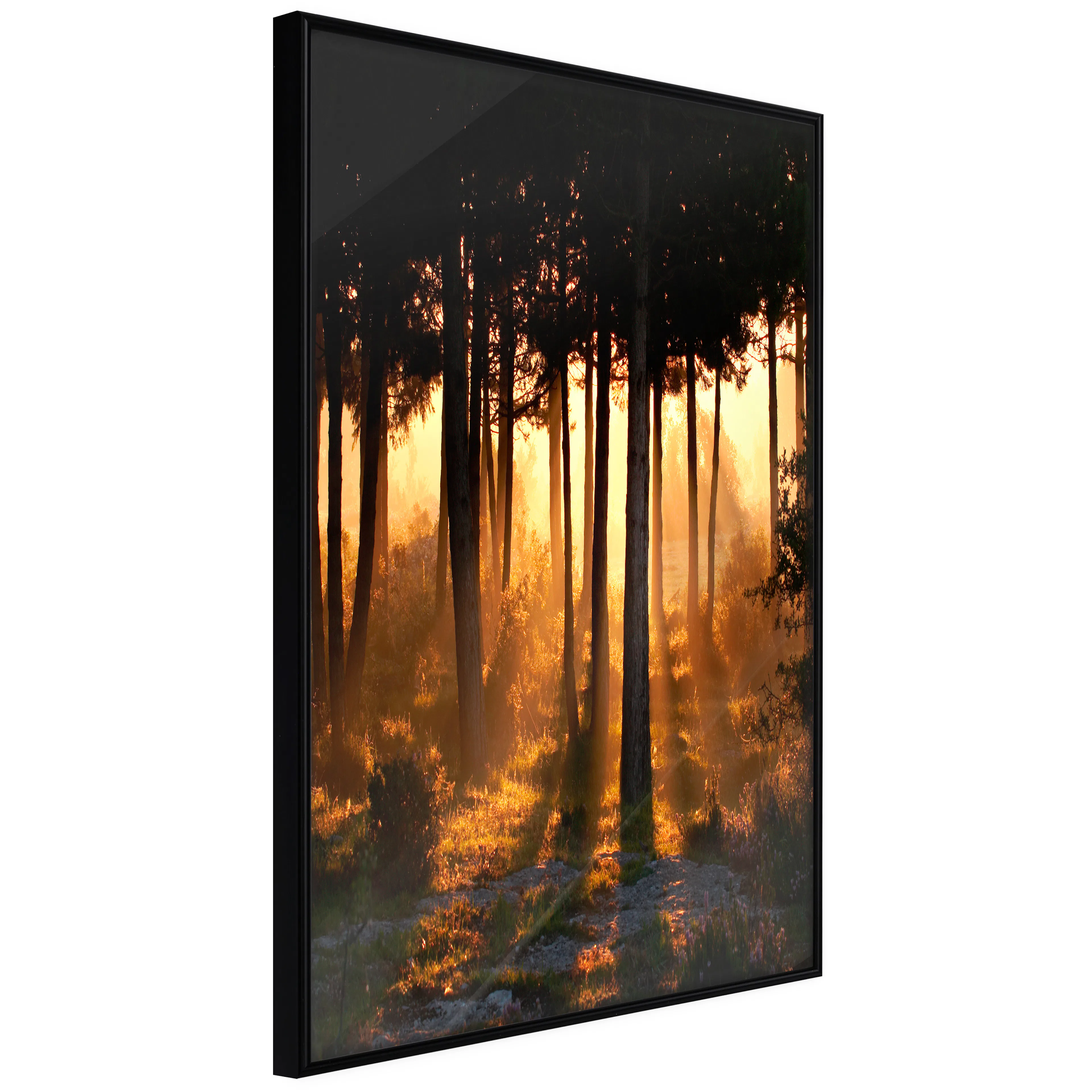 Affisch - Honey Forest [Poster] 30x45 Svart ram, 30x45 cm