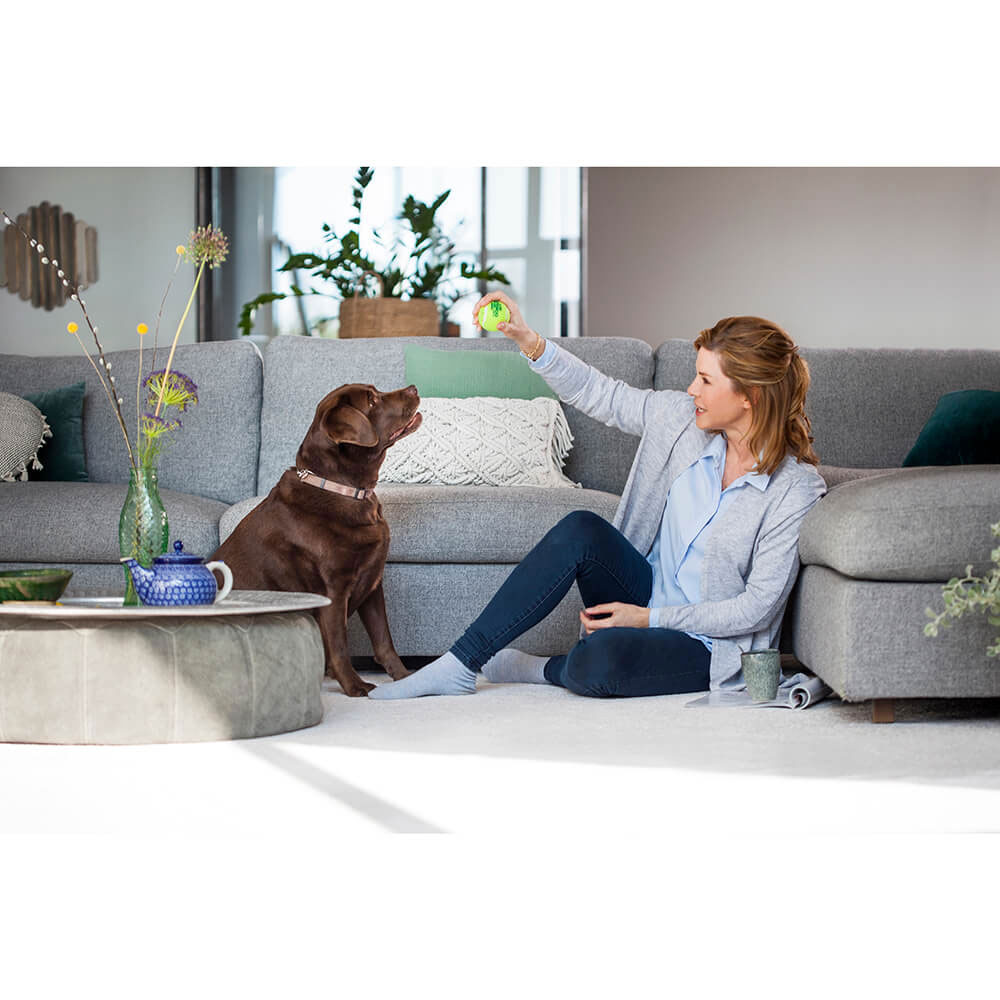 Mattvätt Bissell Revolution ProHeat 2X - Effektiv Textilvårdsmaskin med Dual DirtLifter och Heatwave Teknologi