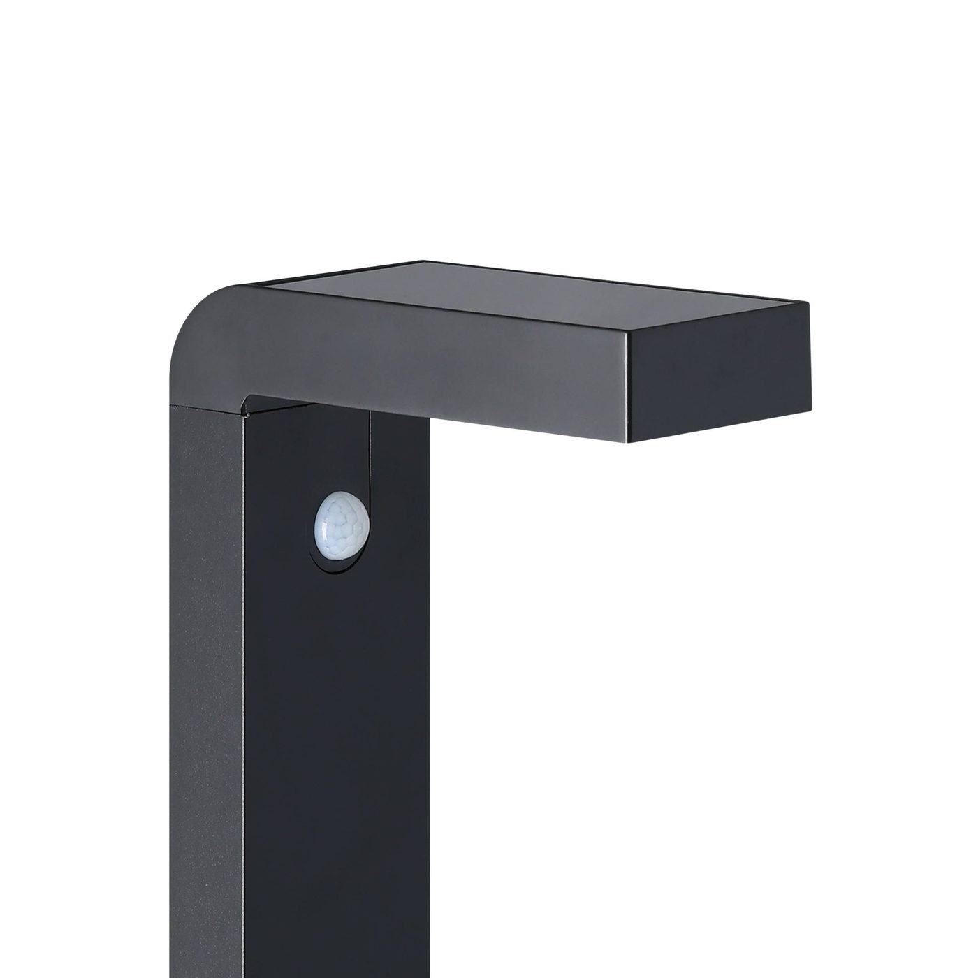 Pollare Eglo Baracconi med Sensor