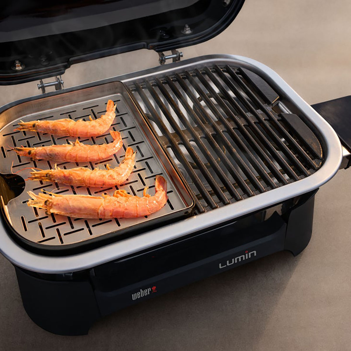 Elgrill Weber Lumin Compact