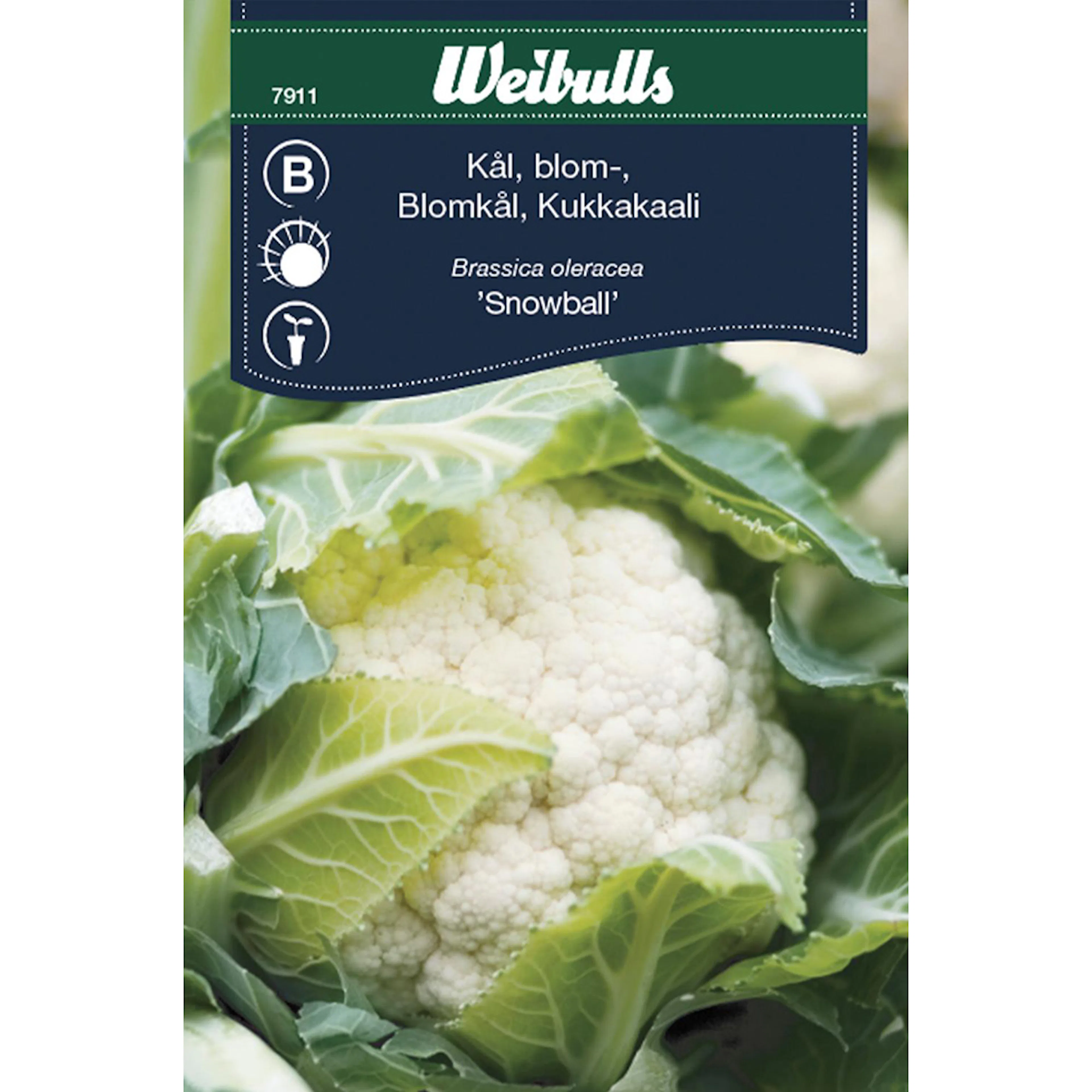 Frö Kål Weibulls Blomkål