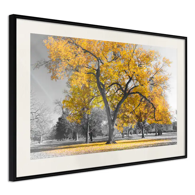 Poster Artgeist Affisch Autumn in the Park Gold