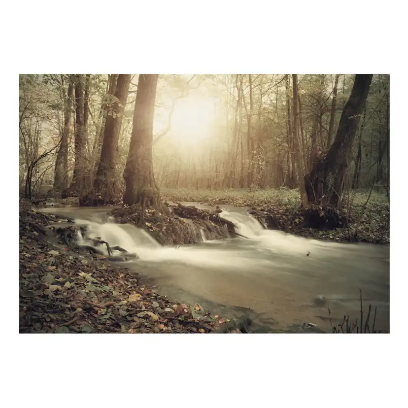 Självhäftande fototapet - Forest Cascade 98x70 Storlek: 98x70 cm