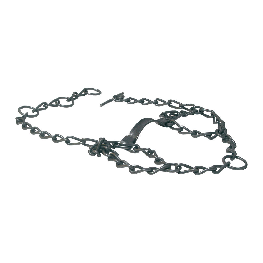 Kättinggrimma Willab till Nöt