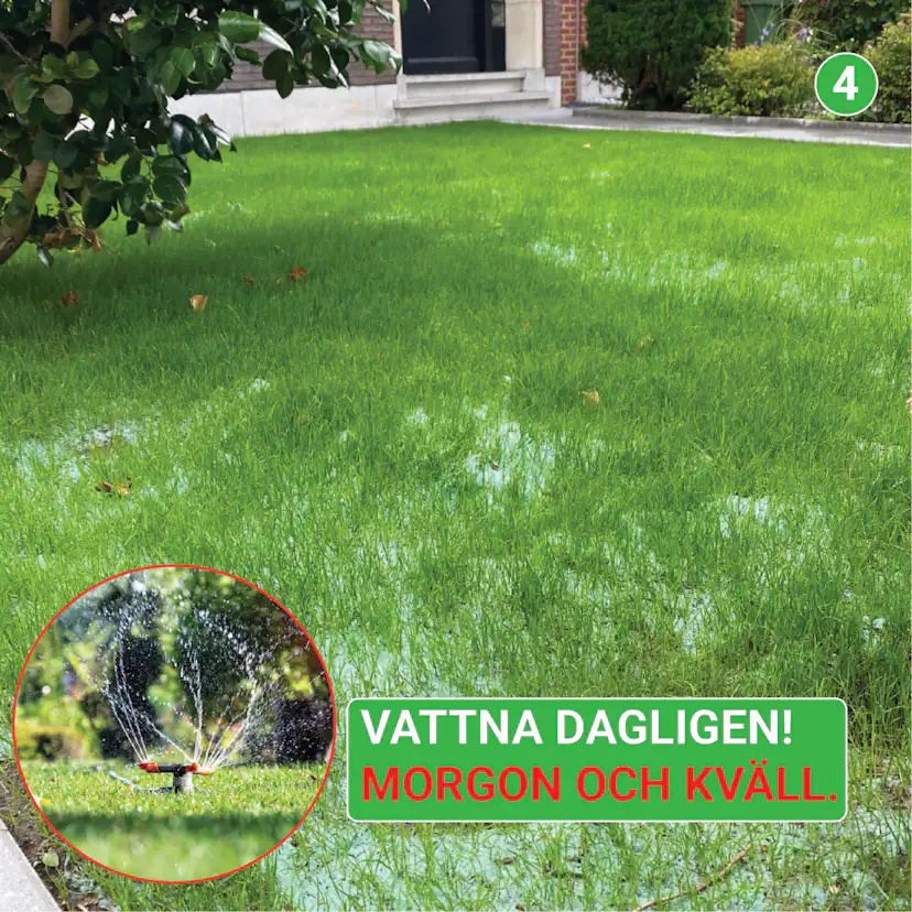 Gräsmatta Turfquick Skugga