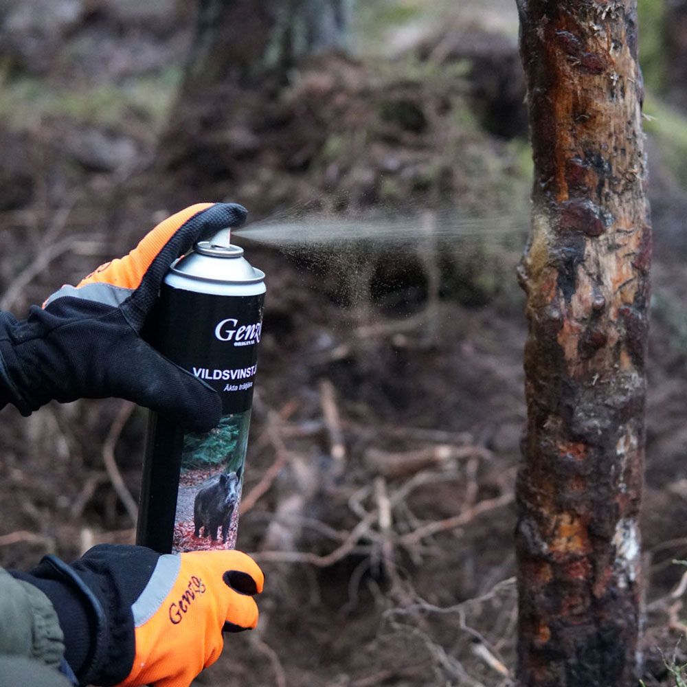Vildsvinstjära Genzo Spray 600 ml