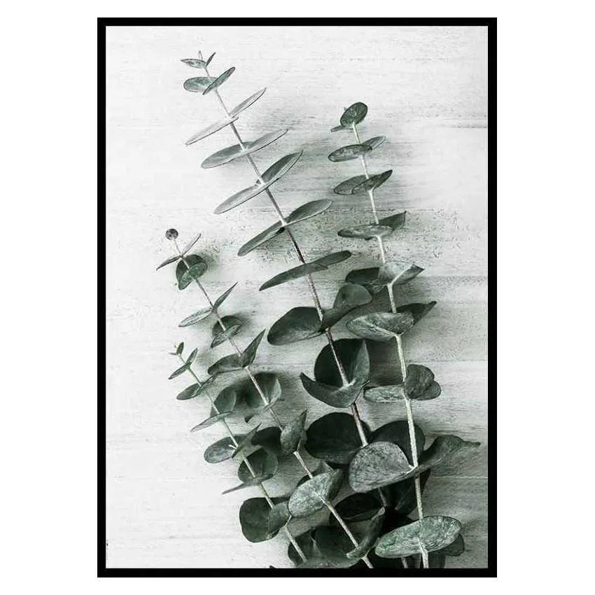 Poster Gallerix Eucalyptus No6