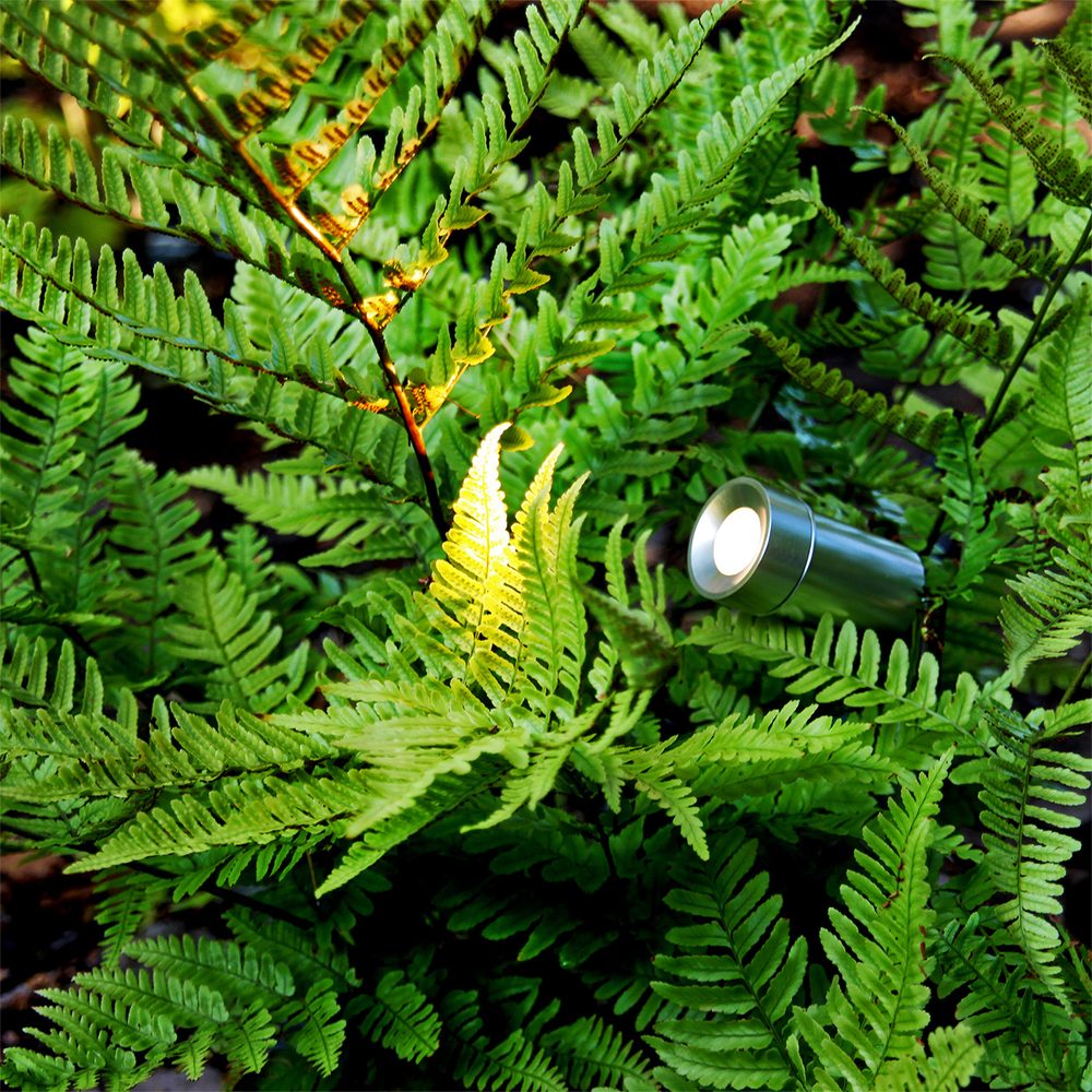 Markspot Lightson Optica