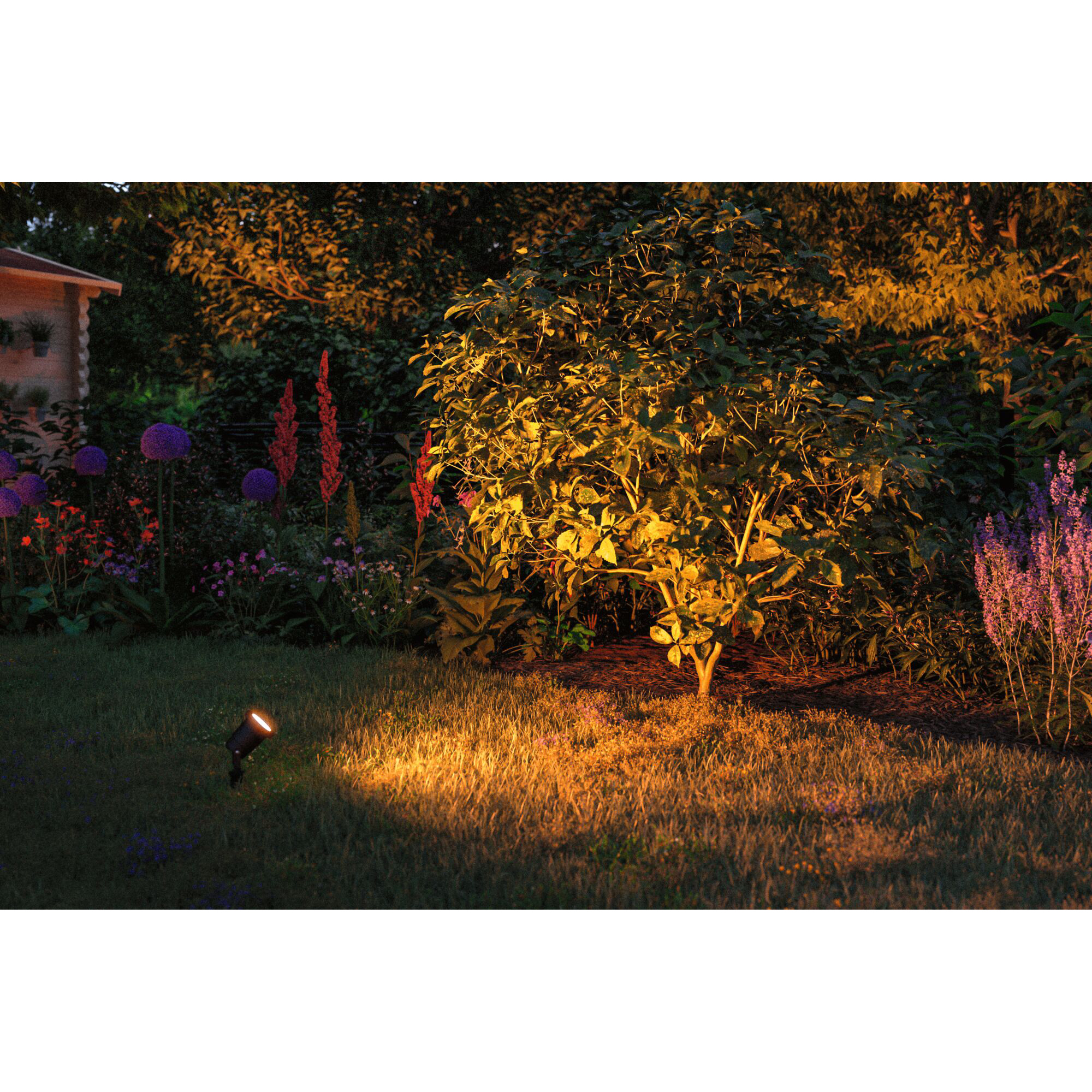 Spotlight LED Paulmann Garden Spot IP65 230V Ljus: Gold Light (insektsvänlig)