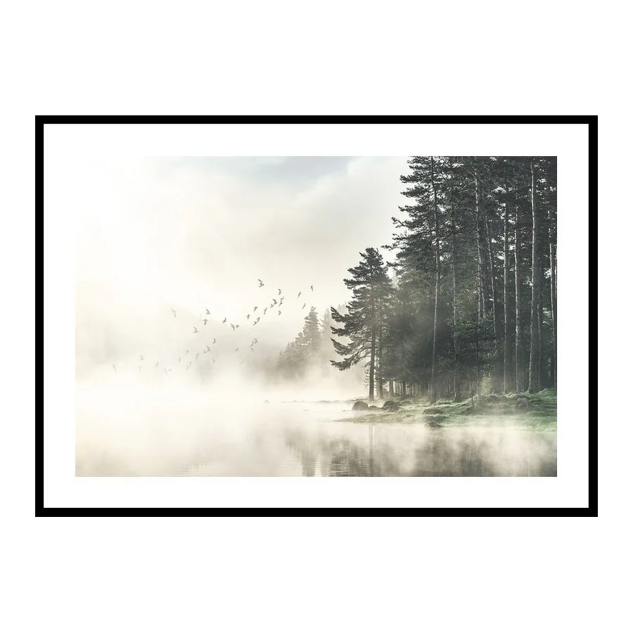 Poster Gallerix Birds In Nature