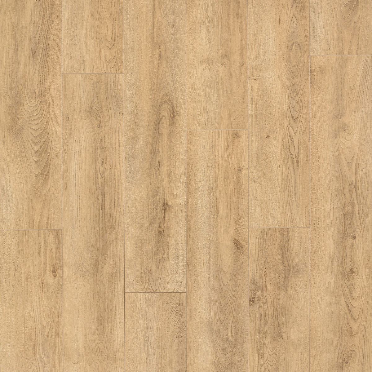 Laminatgolv Tenfors Oak Natur 8 mm, 1-stav