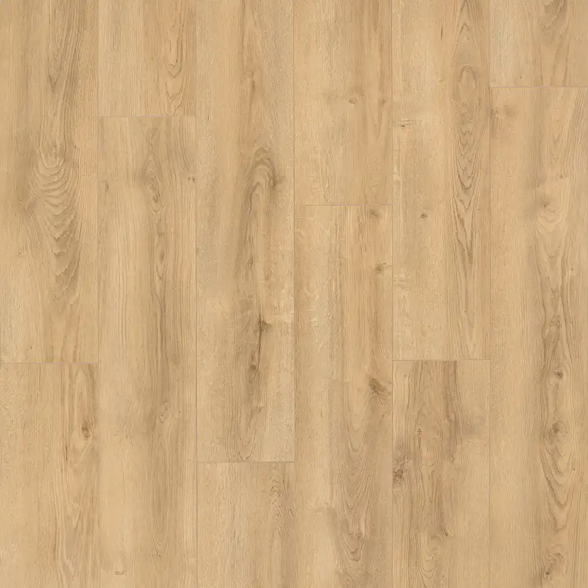 Laminatgolv Oak Natur 8 mm, 1-stav