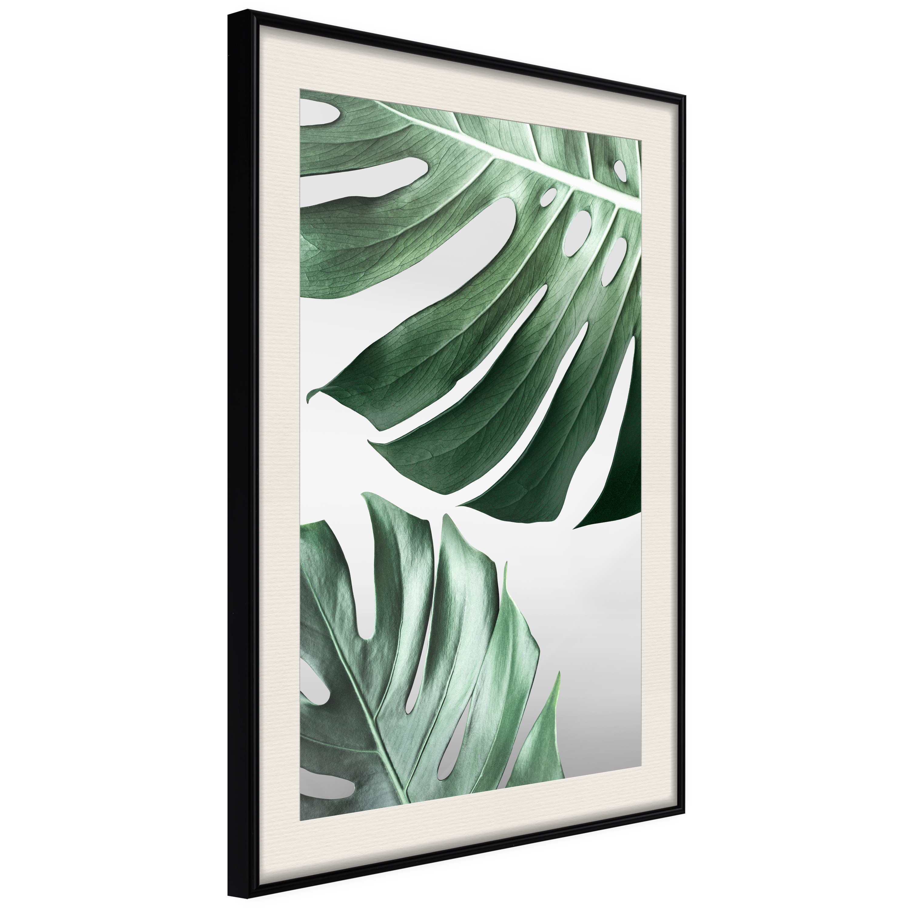 Affisch - Monstera Leaves [Poster] 40x60 Svart ram med passepartout, 40x60 cm