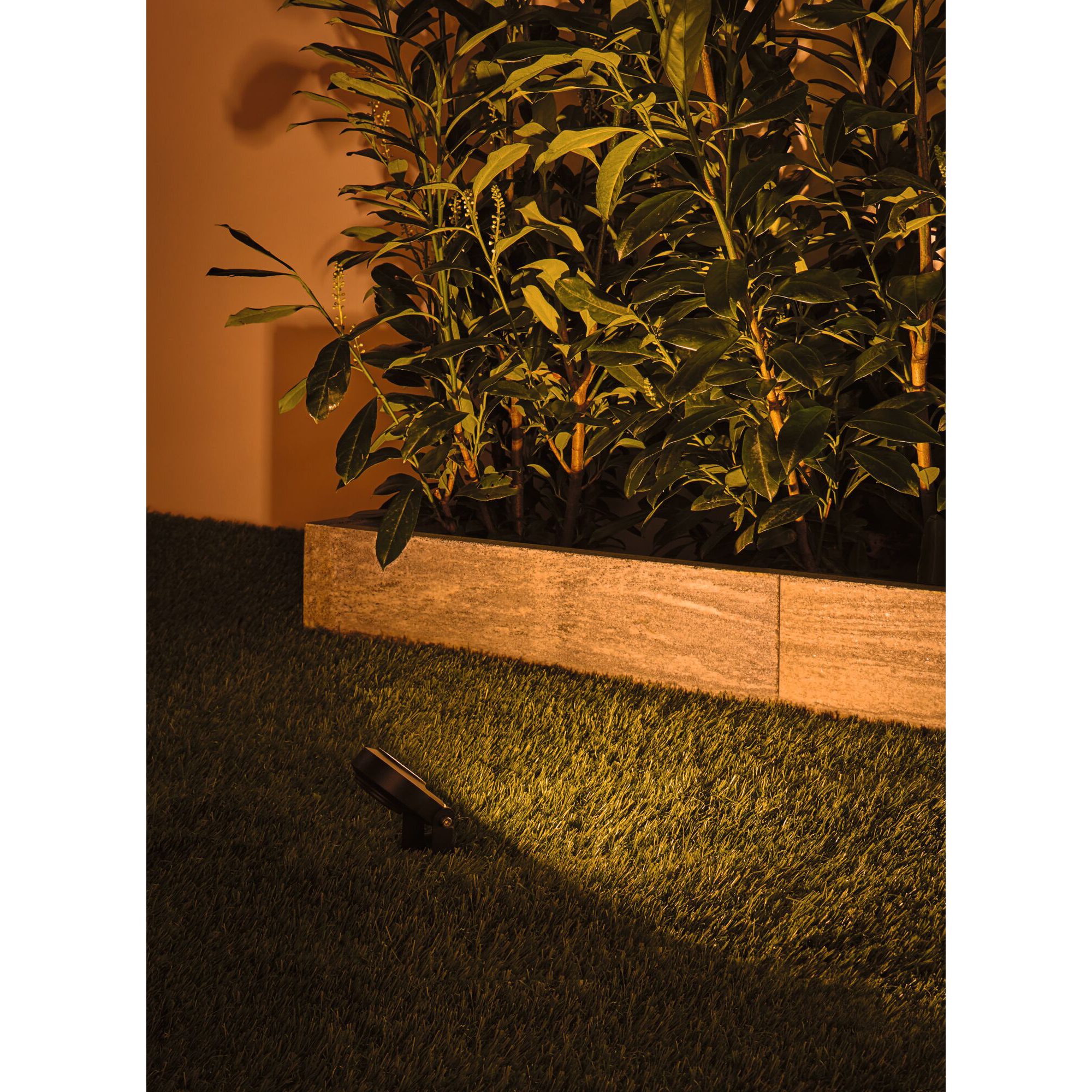 Spotlight Paulmann Sting Plug & Shine LED IP67 24V Ljus: Gold Light (insektsvänlig)