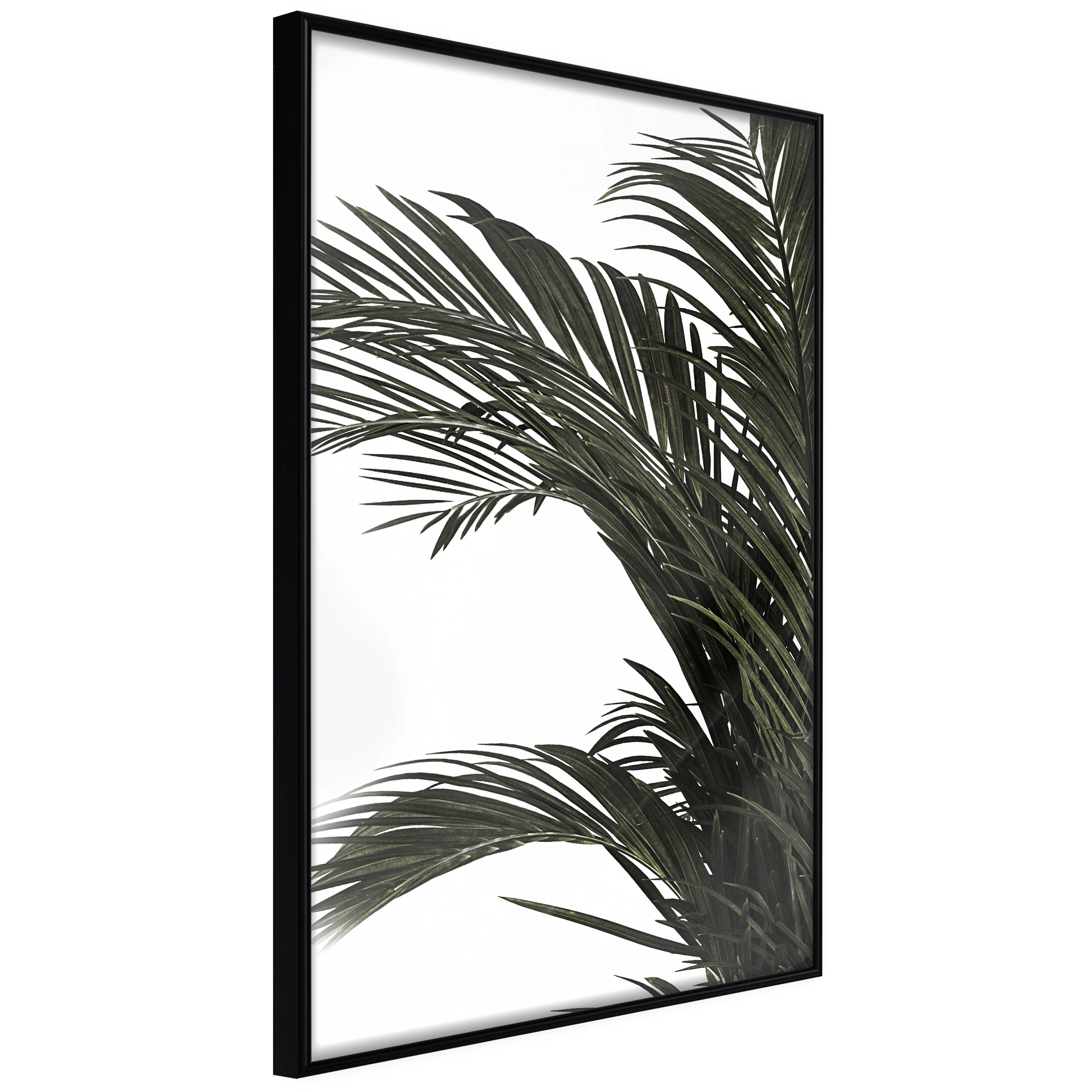 Affisch - Jungle Treasures [Poster] 30x45 Svart ram, 30x45 cm