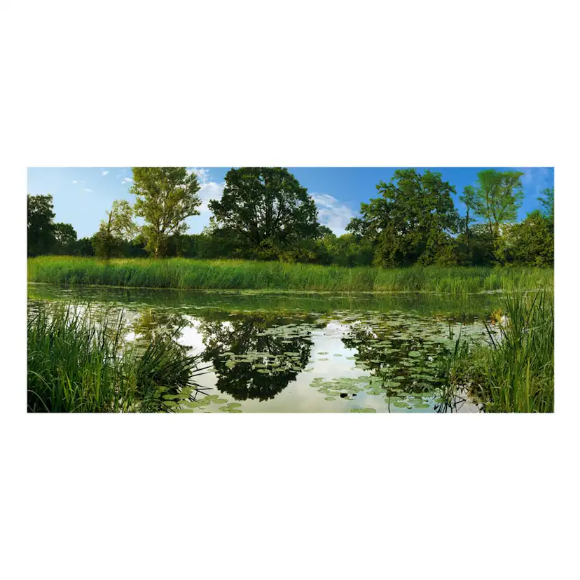Fototapet Arkiio Självhäftande The Magic Pond III 588x280
