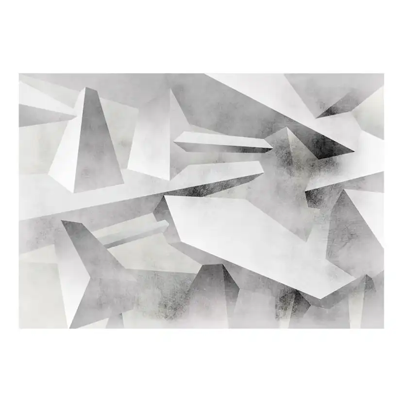 Fototapet Arkiio Frozen Wings