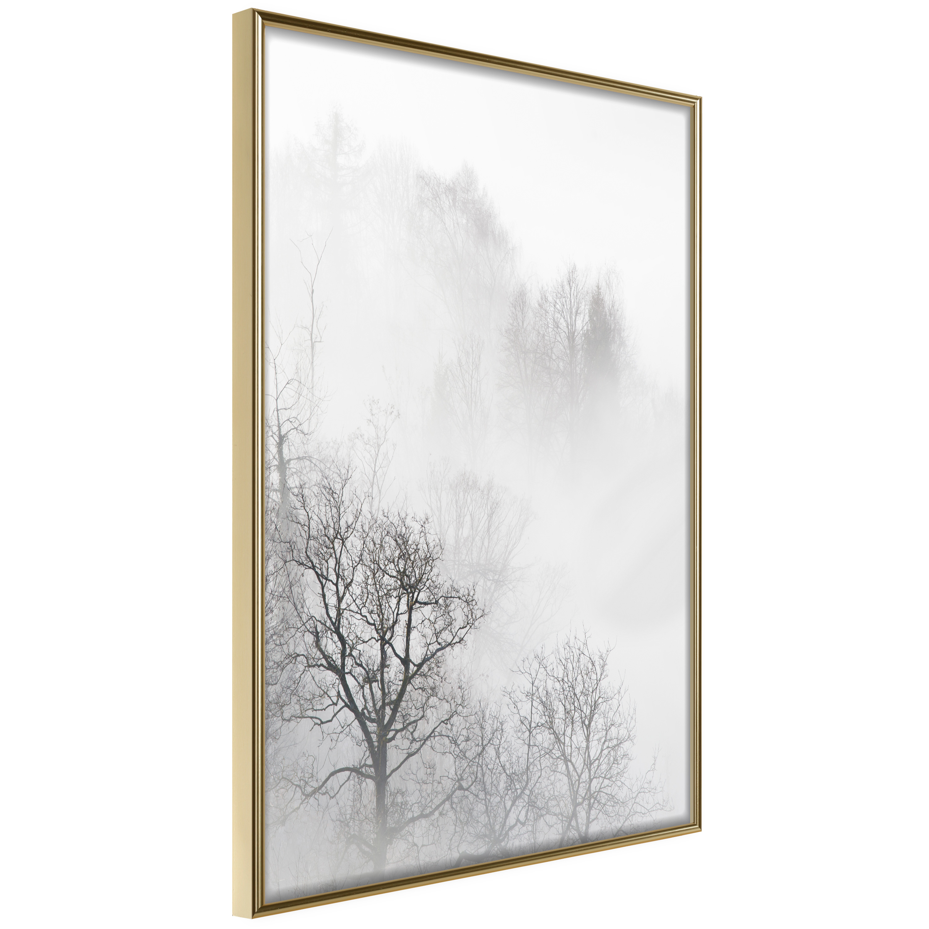 Affisch - Trees In The Fog [Poster] 30x45 Guld ram, 30x45 cm