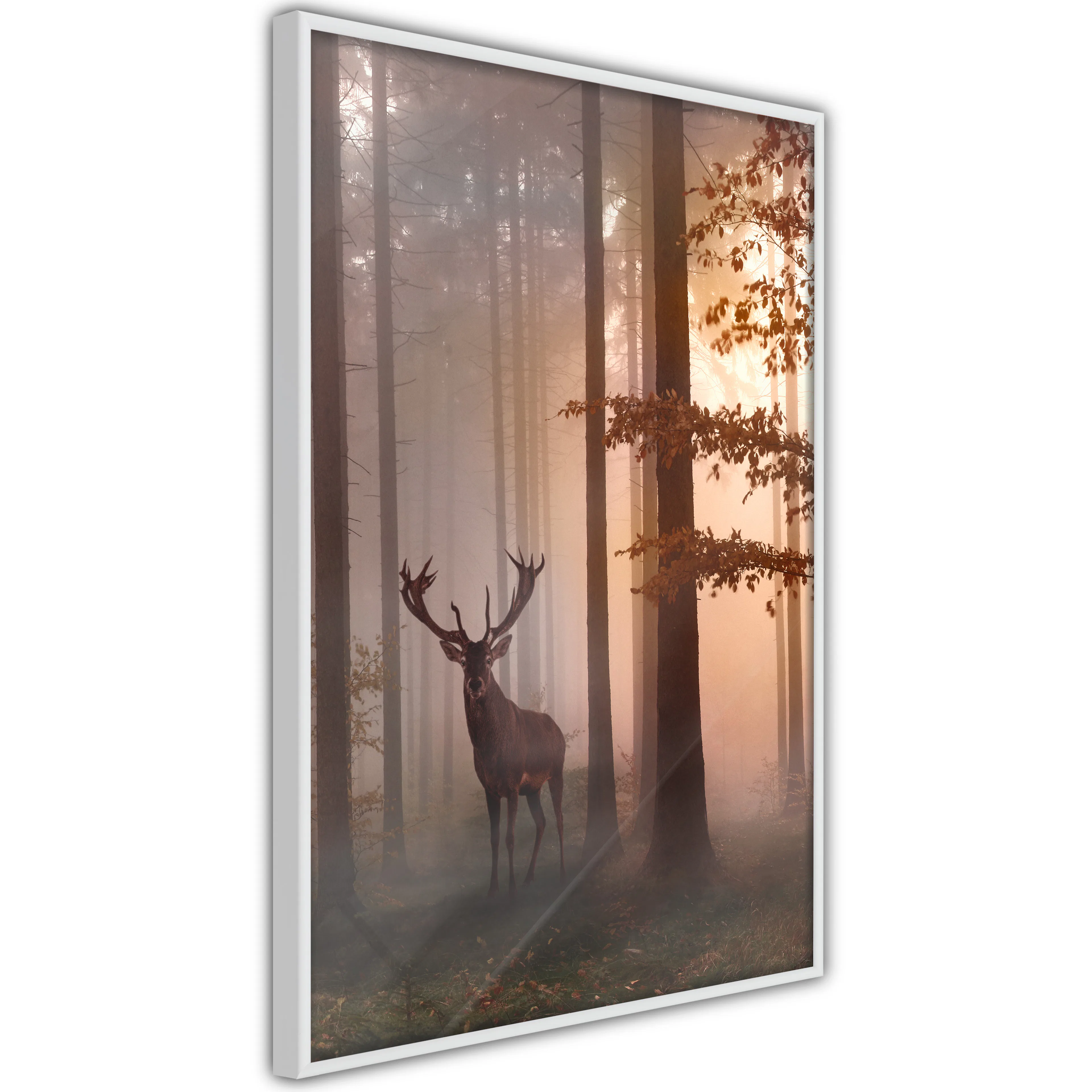 Poster Artgeist Affisch Morning
