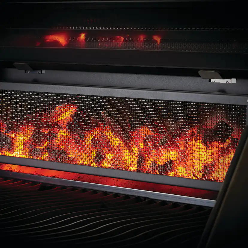 Kolgrill Napoleon PRO605