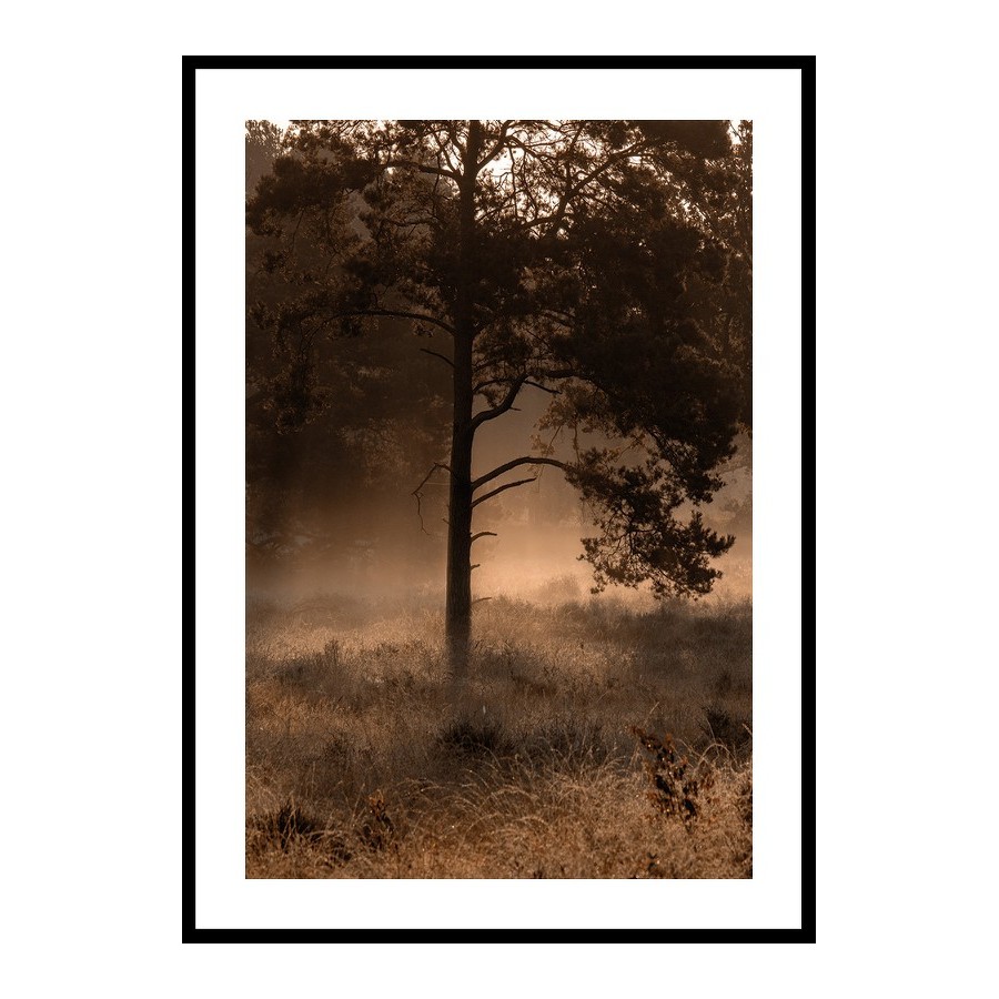 Poster Gallerix Field In Fog