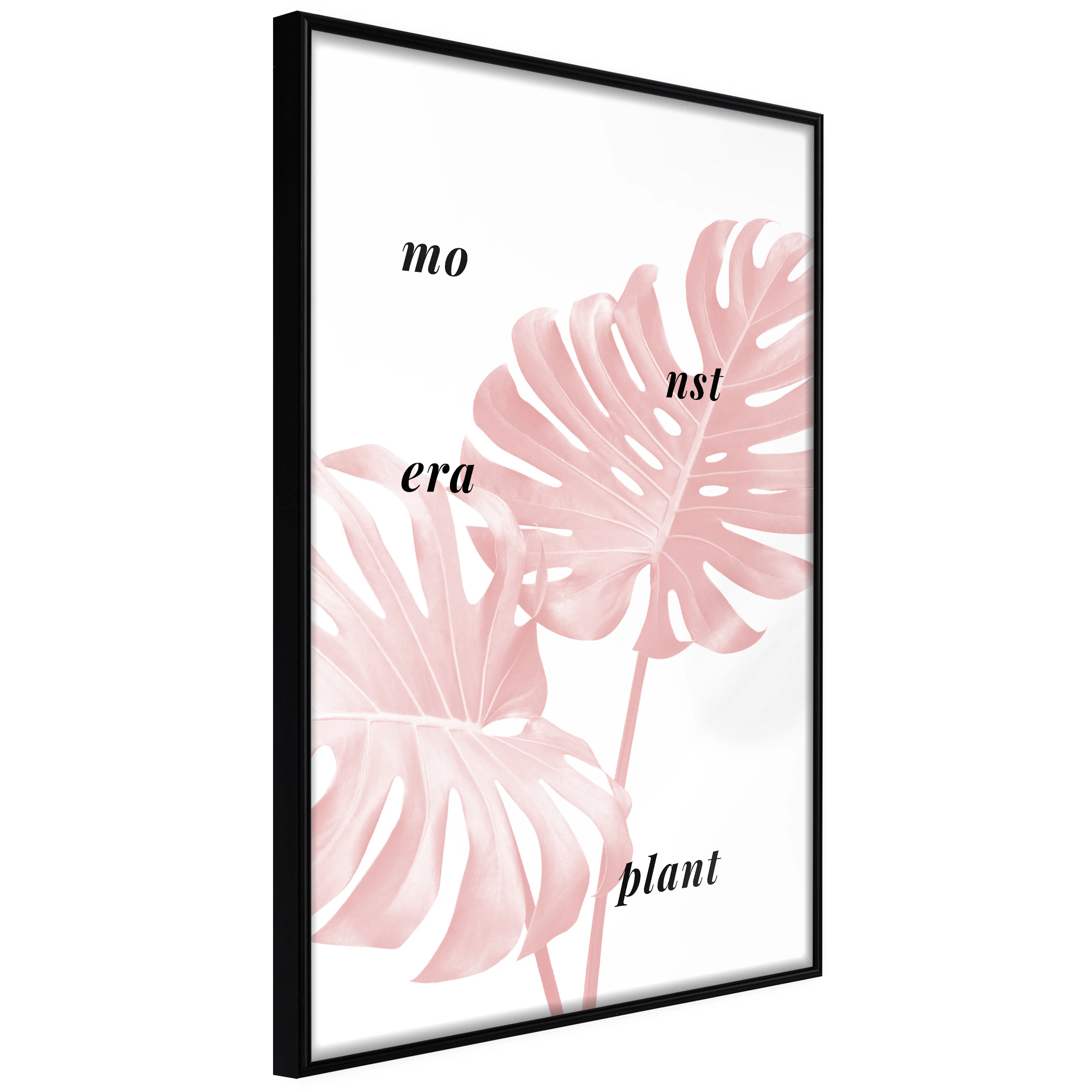 Affisch - Monstera Plant [Poster] 20x30 Svart ram, 20x30 cm