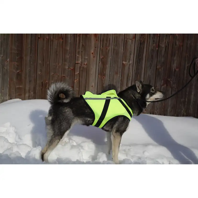 Väst NordicDog med GPS Stl L
