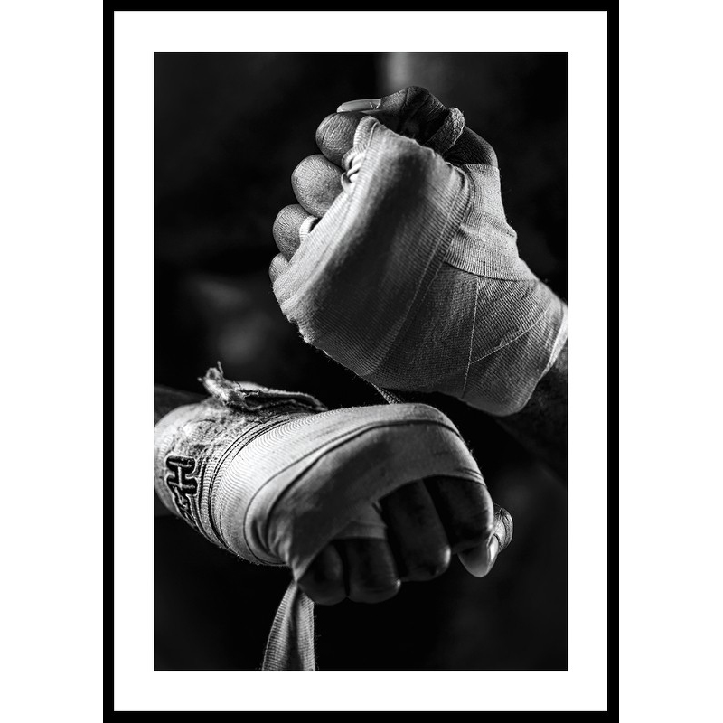 Poster Gallerix Ready To Fight