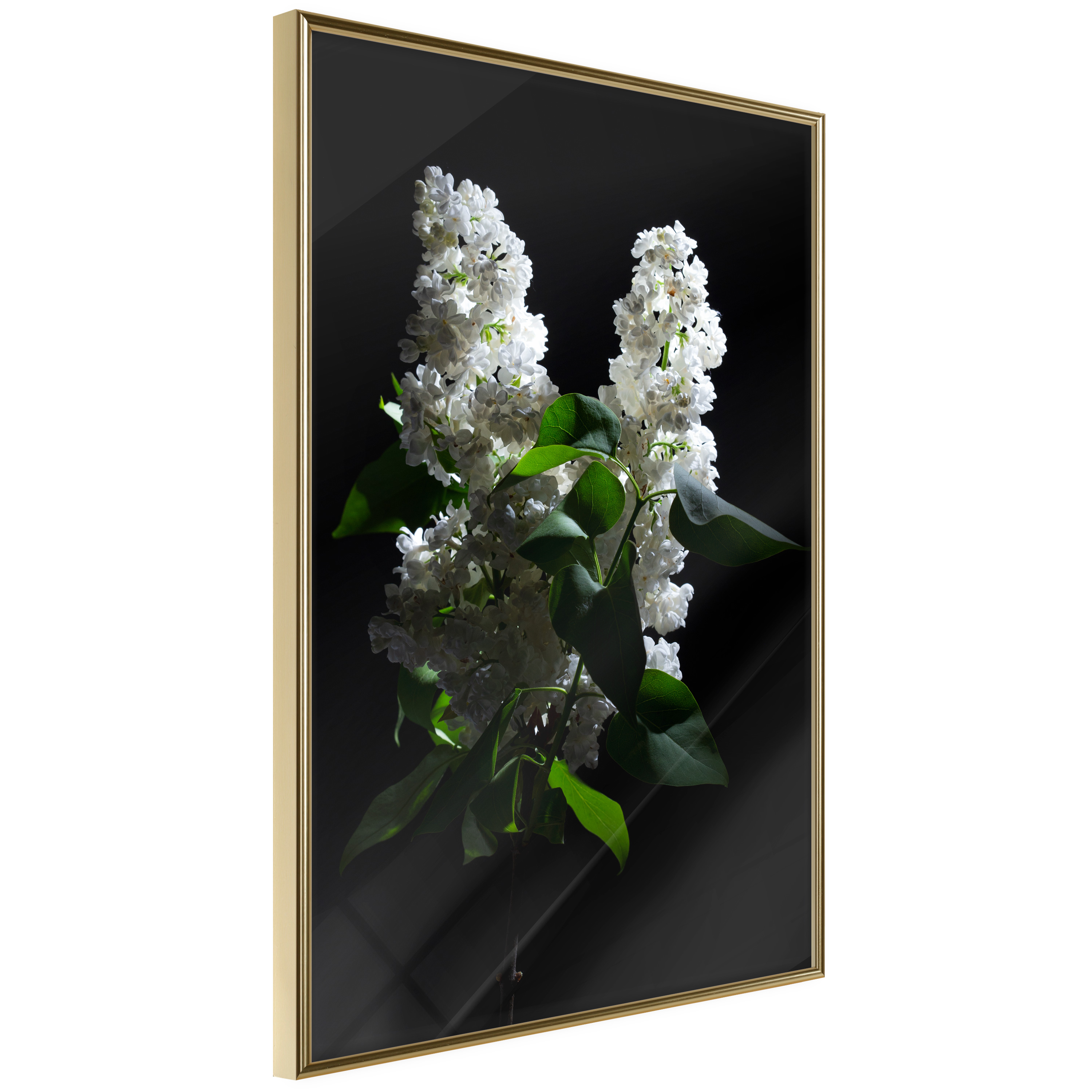 Affisch - Lilacs at Night [Poster] 20x30 Guld ram, 20x30 cm