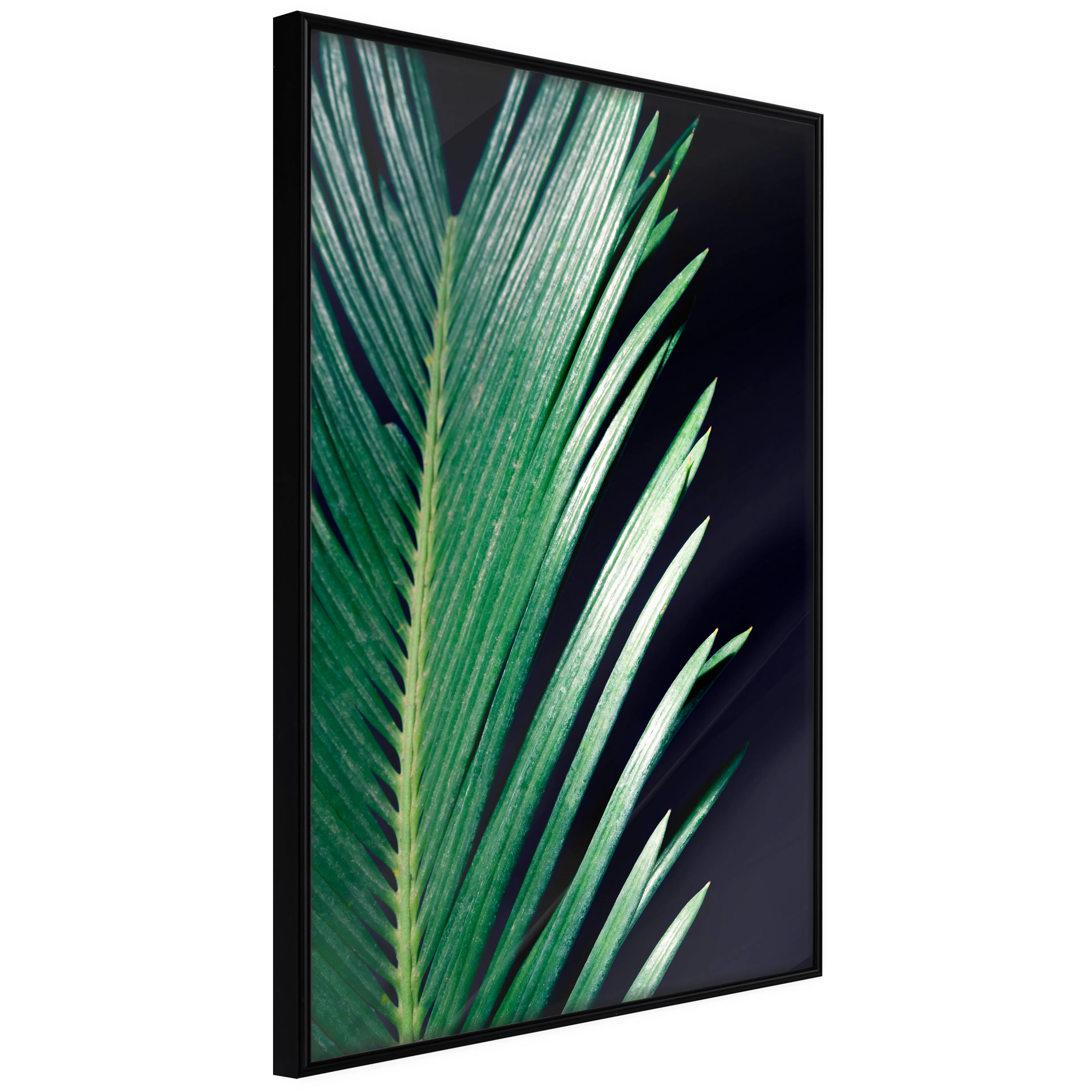 Affisch - Sharp Leaves [Poster] 20x30 Svart ram, 20x30 cm