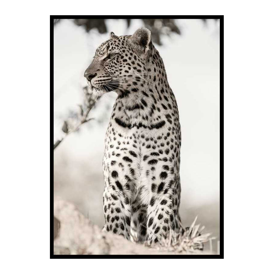 African Leopard 30x40 cm
