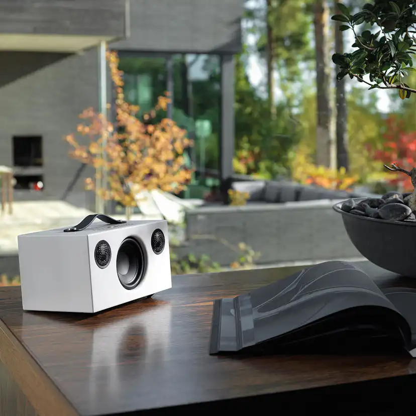 Högtalare Audio Pro C5 MK II